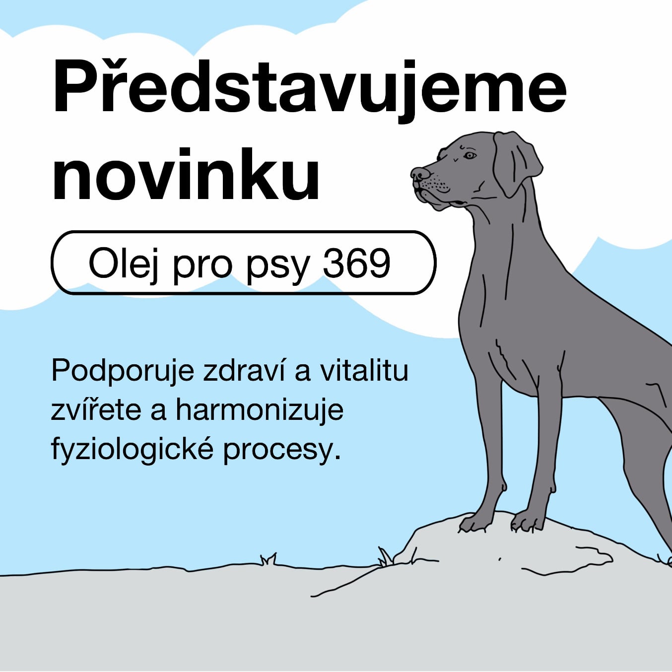 Banner - Olej pro psy 369